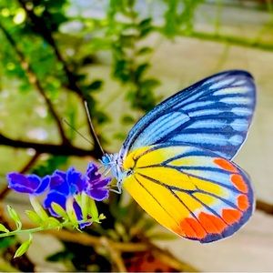 Meet your Posher, Nap